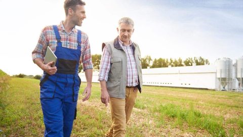 The Essential Guide to Designing a B2B Loyalty Program for NZ Trades & Agriculture
