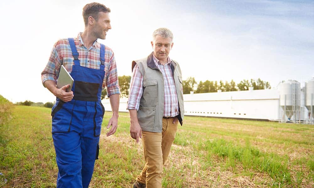 The Essential Guide to Designing a B2B Loyalty Program for NZ Trades & Agriculture